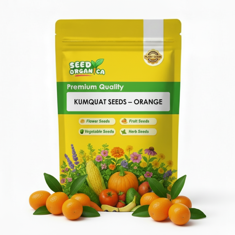 Kumquat Seeds – Orange