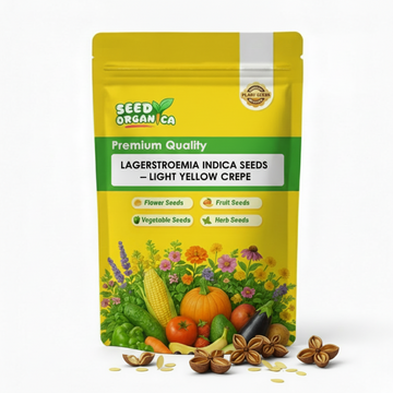 Lagerstroemia indica Seeds – Light Yellow Crepe