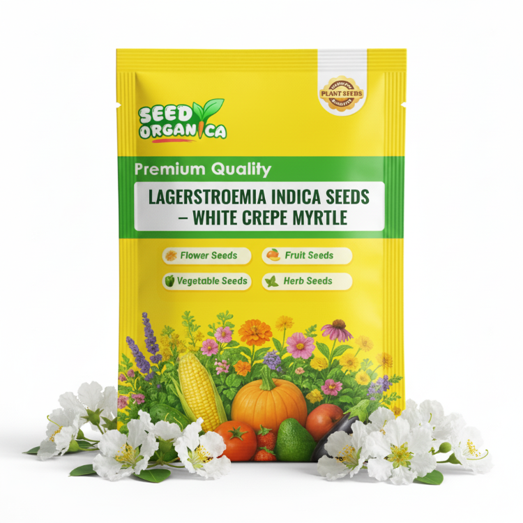 Lagerstroemia indica Seeds – White Crepe Myrtle