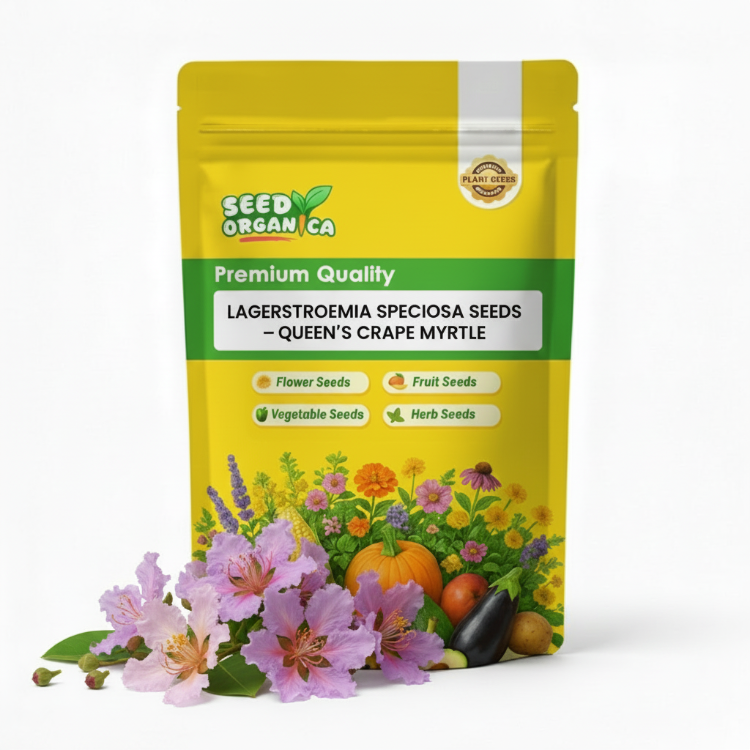 Lagerstroemia speciosa Seeds – Queen’s Crape Myrtle