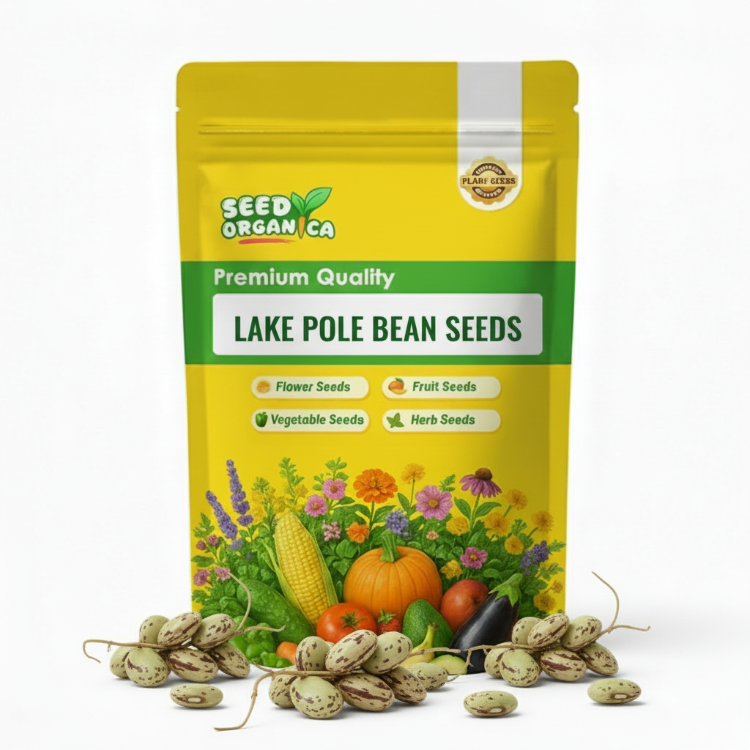 Lake Pole Bean Seeds