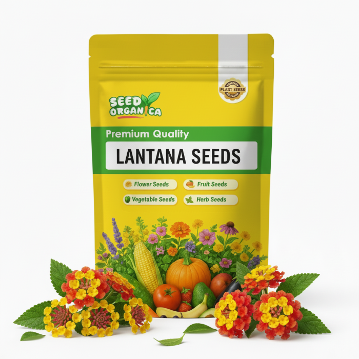 Lantana Seeds