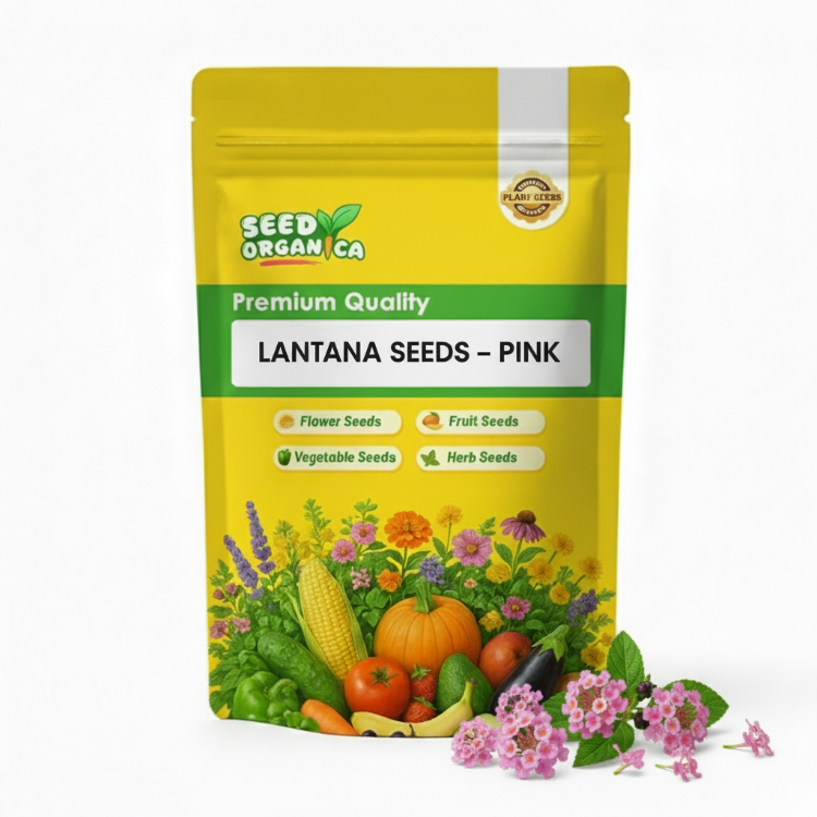 Lantana Seeds – Pink