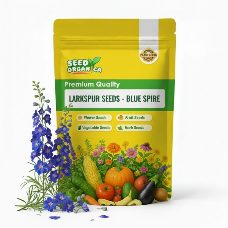 Larkspur Seeds – Blue Spire
