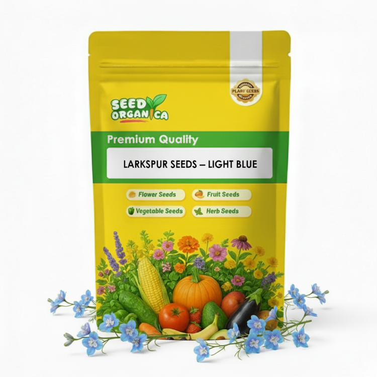 Larkspur Seeds – Light Blue