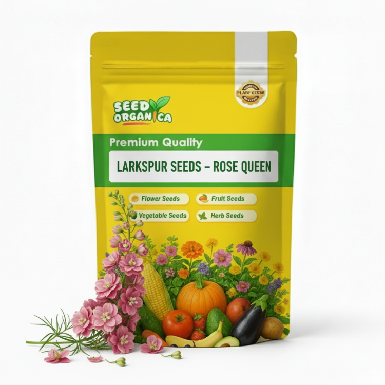 Larkspur Seeds – Rose Queen
