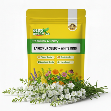 Larkspur Seeds – White King