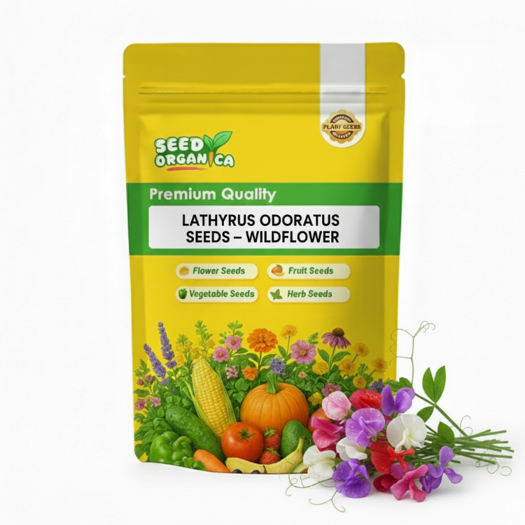 Lathyrus Odoratus Seeds –  Wildflower
