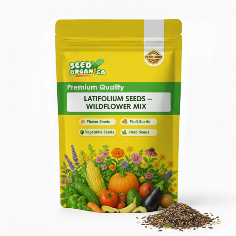 Latifolium Seeds – Wildflower Mix