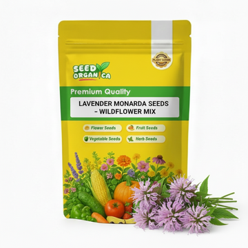 Lavender Monarda Seeds – Wildflower Mix