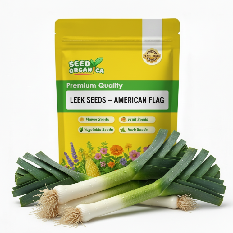 Leek Seeds – American Flag
