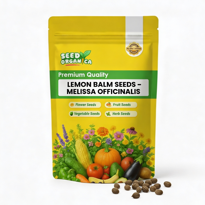 Lemon Balm Seeds – Melissa Officinalis