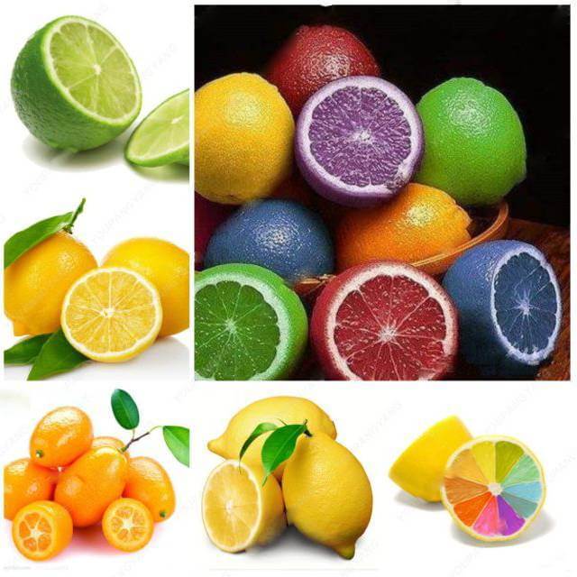 Lemon Seeds – Rainbow