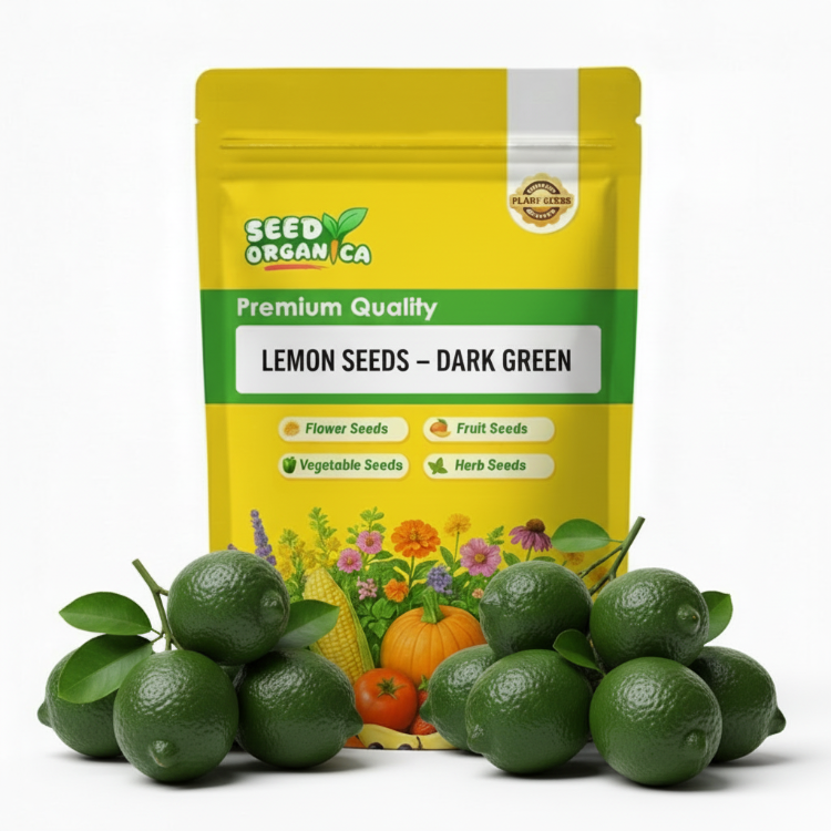 Lemon Seeds – Dark Green