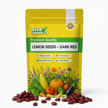 Lemon Seeds – Dark Red