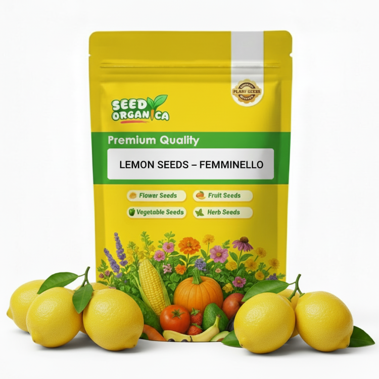 Lemon Seeds – Femminello
