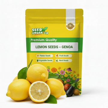 Lemon Seeds – Genoa