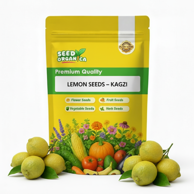 Lemon Seeds – Kagzi