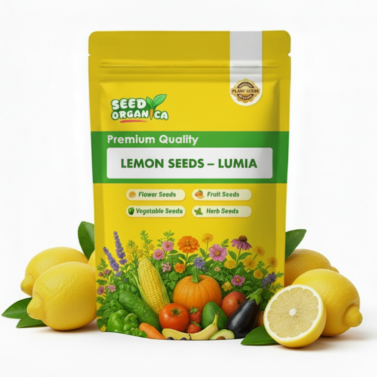 Lemon Seeds – Lumia
