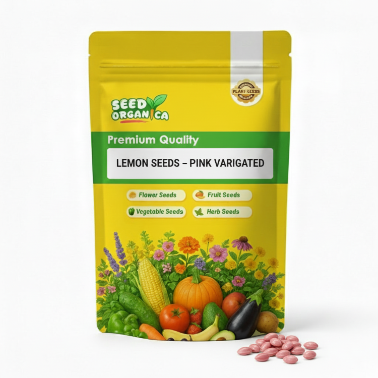 Lemon Seeds – Pink Variegated