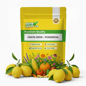 Lemon Seeds – Ponderosa