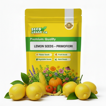 Lemon Seeds – Primofiori