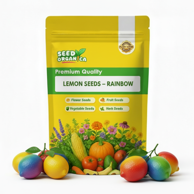 Lemon Seeds – Rainbow