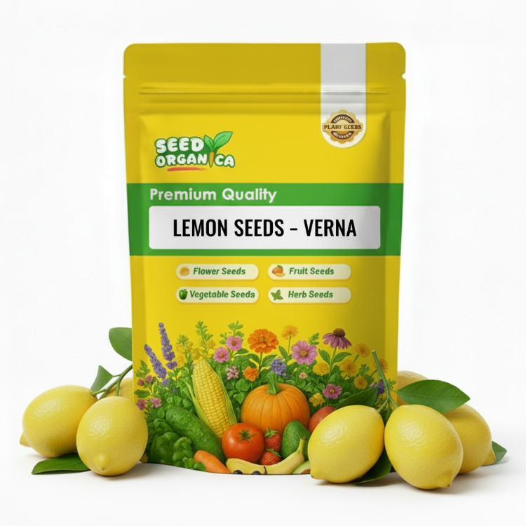 Lemon Seeds – Verna