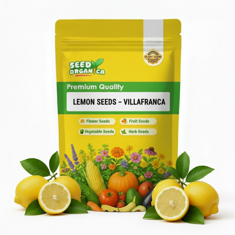 Lemon Seeds – Villafranca