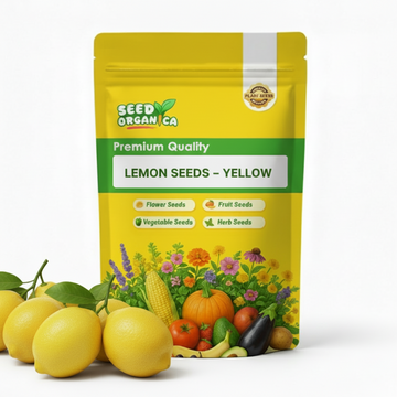 Lemon Seeds – Yellow