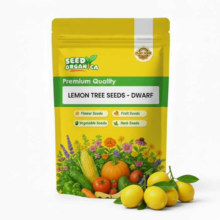 Dwarf Lemon Tree Seeds | Compact Citrus Tree Seeds
