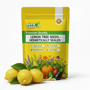 Lemon Tree Seeds – Hermetically Sealed