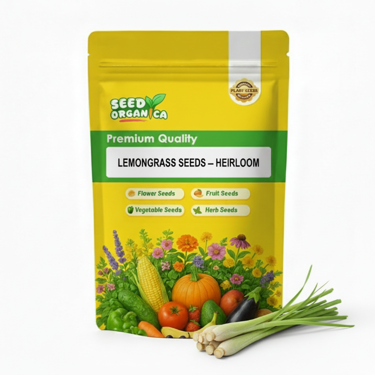 Lemongrass Seeds – Heirloom
