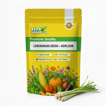 Lemongrass Seeds – Heirloom