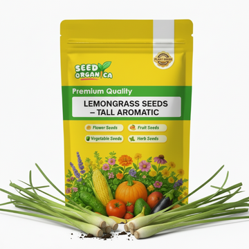 Lemongrass Seeds – Tall Aromatic