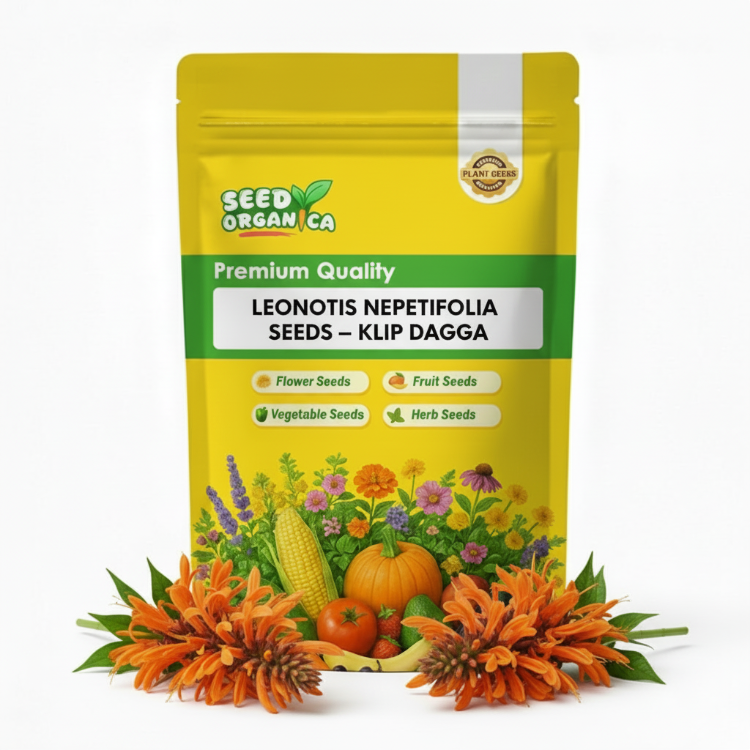 Leonotis Nepetifolia Seeds – Klip Dagga