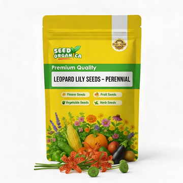 Leopard Lily Seeds – Perennial