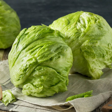 Lettuce Seeds – Iceberg Crisp Head