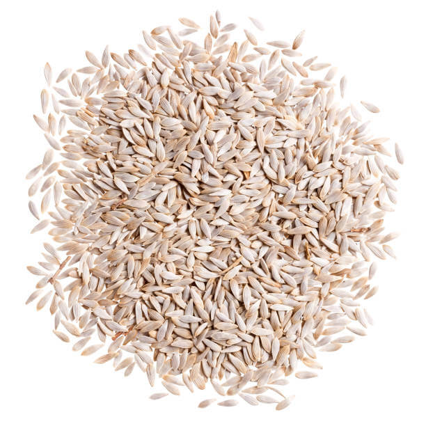 Lettuce Seeds - All In One For Home Gardens