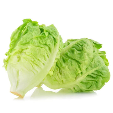 Lettuce Seeds – Gem Romaine