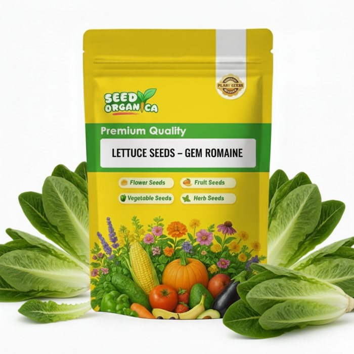 Lettuce Seeds – Gem Romaine
