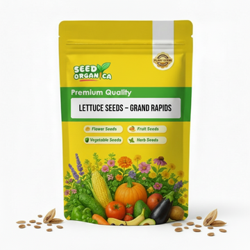Lettuce Seeds – Grand Rapids