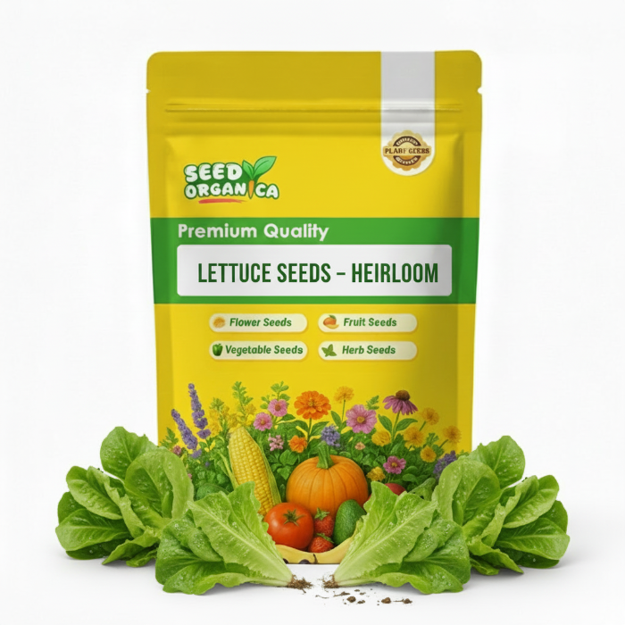 Lettuce Seeds – Heirloom