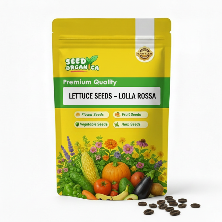 Lettuce Seeds – Lolla Rossa