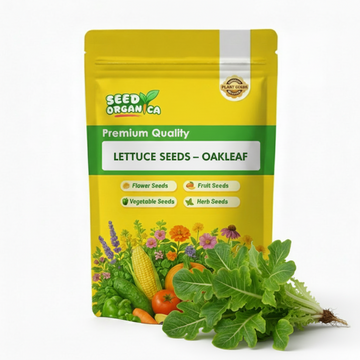 Lettuce Seeds – Oakleaf
