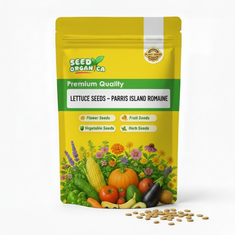 Lettuce Seeds – Parris Island Romaine