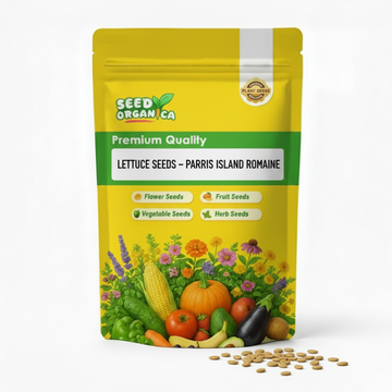 Lettuce Seeds – Parris Island Romaine