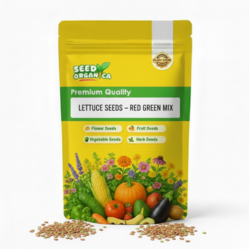 Lettuce Seeds – Red Green Mix