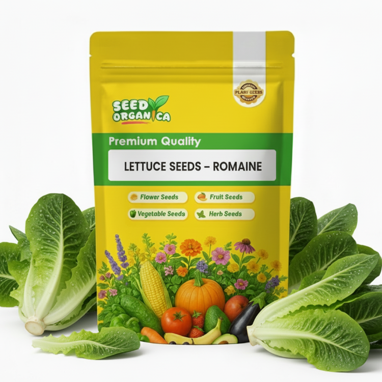 Lettuce Seeds – Romaine