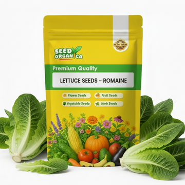 Lettuce Seeds – Romaine